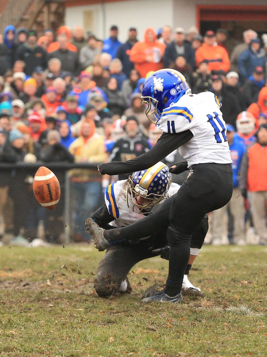 Maroa Forsyth Bands tweet media