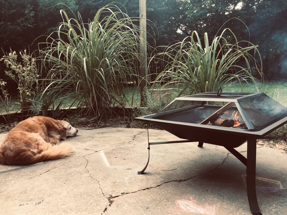 Shinertrip's tweet image. #goodlife