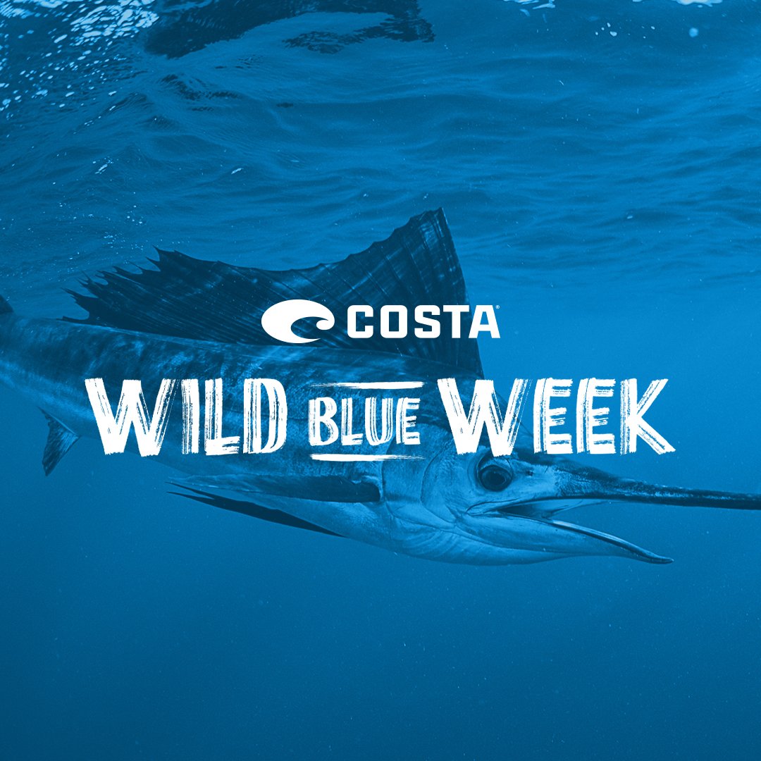 CostaSunglasses's tweet photo. Sailing through. #wildblueweek
Learn more at https://t.co/gIWovA25ff. https://t.co/4L0o0Ja0Bp