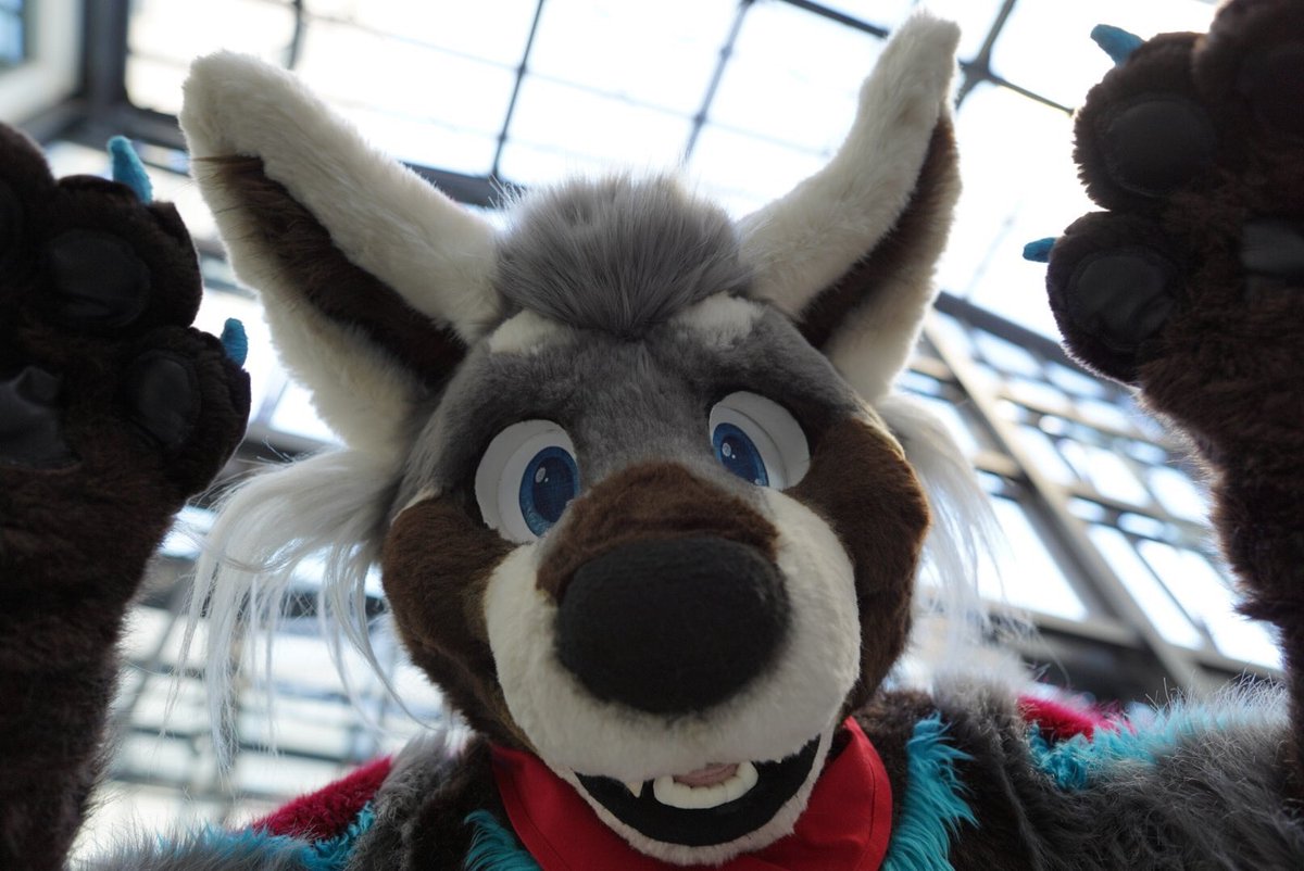 titanpandaroo's tweet photo. โWhatโs that? Looking for great Black Friday deals? How about get one free hug, get another hug absolutely free! Get them while they are warm, loving and fluffy!โ #TheyAlwaysAre #SuchAPanderp #FursuitFriday https://t.co/EKJfxFTUkJ