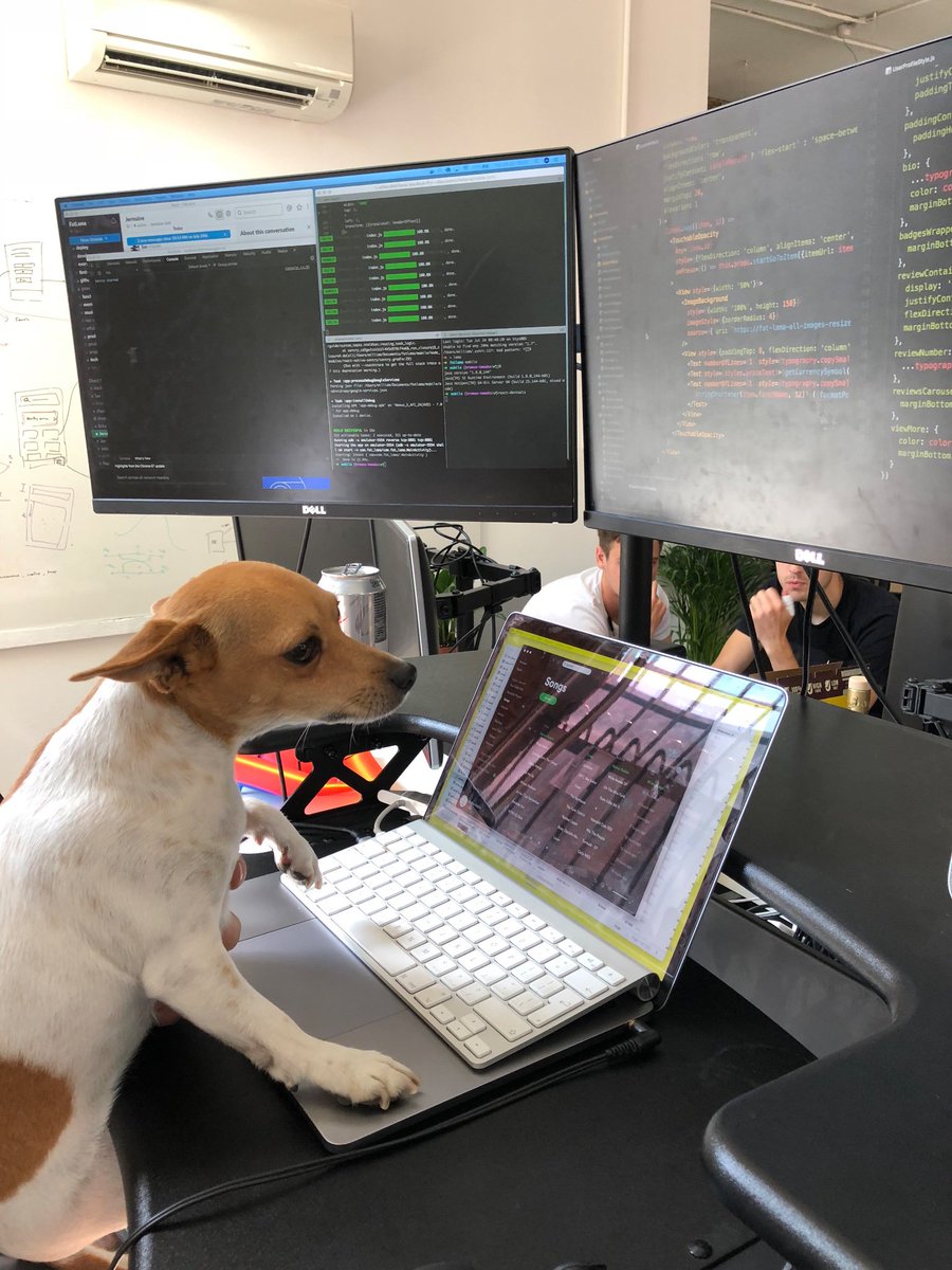 We’re hiring! CVs and puppies accepted. <a href="/FatLlamaHQ/">Fat Llama</a>