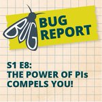 Photo by Bug Report Podcast (@PodcastBug)