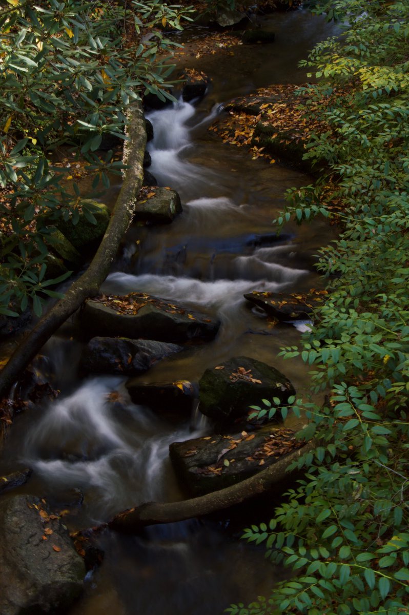 acaptureintime's tweet photo. Never will I cease to love the harmony that exists within nature. https://t.co/OgRsRW0apB