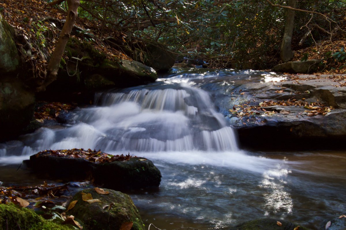 acaptureintime's tweet photo. Never will I cease to love the harmony that exists within nature. https://t.co/OgRsRW0apB