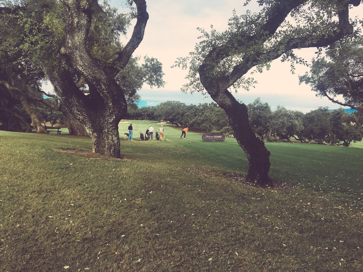 CGolfSotogrande's tweet photo. Impresionante la belleza del @Sotogrande_golf!!! Es un lujo poder disfrutar de un lugar como éste!@IbericosCOVAP https://t.co/BZK6C0G03V