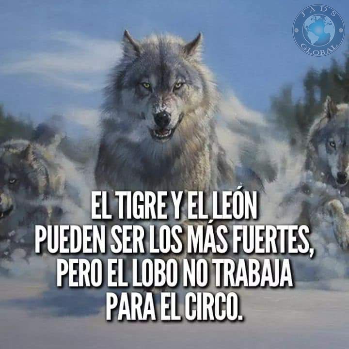 jadsglobal's tweet photo. Ahí la diferencia.
Para mas #TipsDDia en #jadsglobal
#Frasesddia #Exito #Emprendedor #frases #Bussines #Liderazgo https://t.co/gOG6kFmvgB