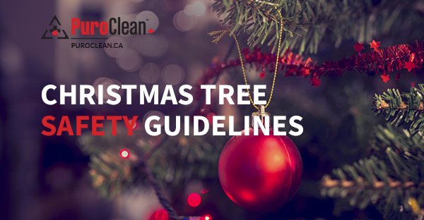 As we approach the end of November, it's time to start putting up the Christmas Tree &amp; Decorations! There are many dangers lurking inside homes when the decorations are put up. Below are important safety tips for enjoying the winter holidays safely: ow.ly/35m530mFCtl