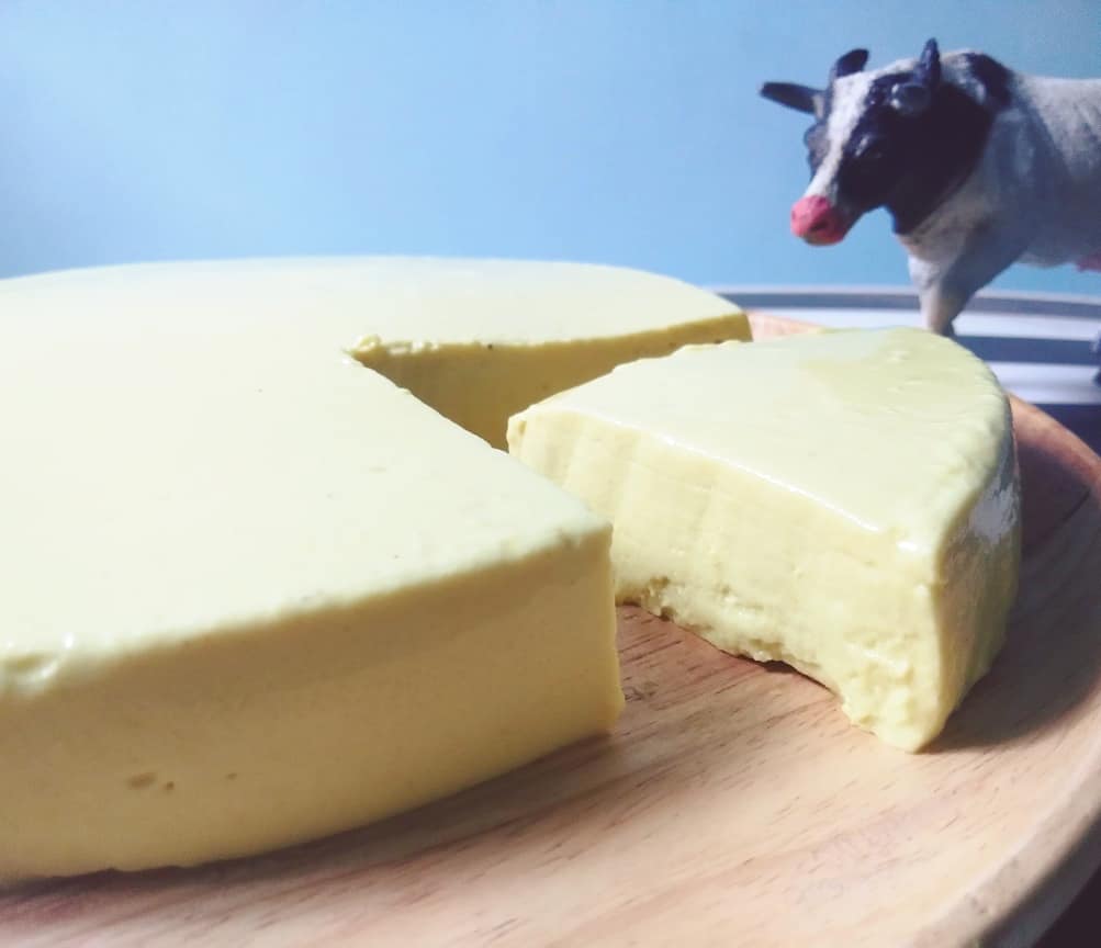 cowvathi's tweet photo. Cheese experiments make us the happiest!! 🌱 https://t.co/AJIMX4TR0M