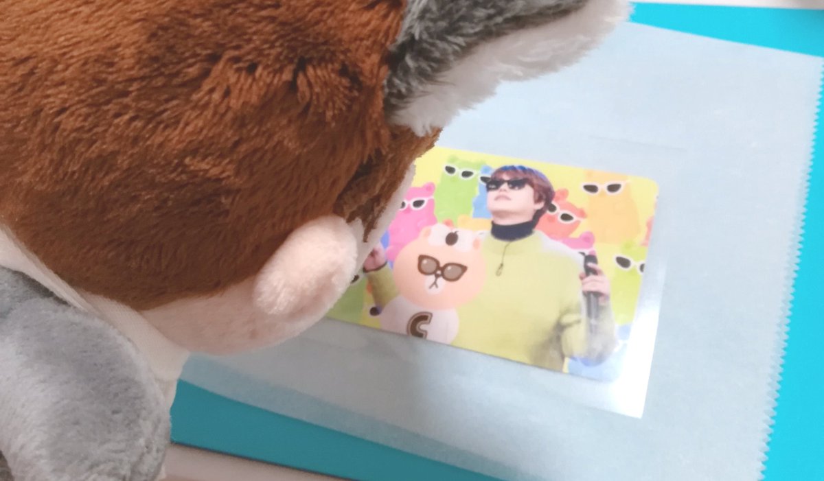melon_gummy's tweet photo. 🍈「失敗しませんように…🙏🏻半透明トレカ失敗しませんように…🙏🏻半透明ぎゅちょこSuper Duperトレカ失敗しませんように…🙏🏻」
👶🏻「なんちゅートレカだよ」
#gyuchoco #ちびぎゅ https://t.co/XTFIE4Hqbc