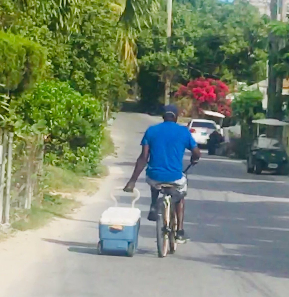 Man on a mission. #harbourisland