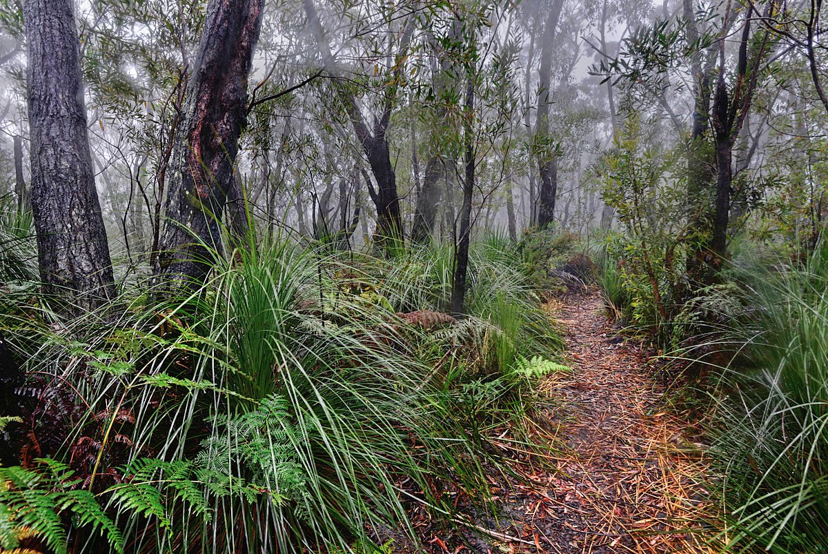 100 Photos of the #northernillawarra #newsouthwales  - chilby.com.au/view-gallery/L…