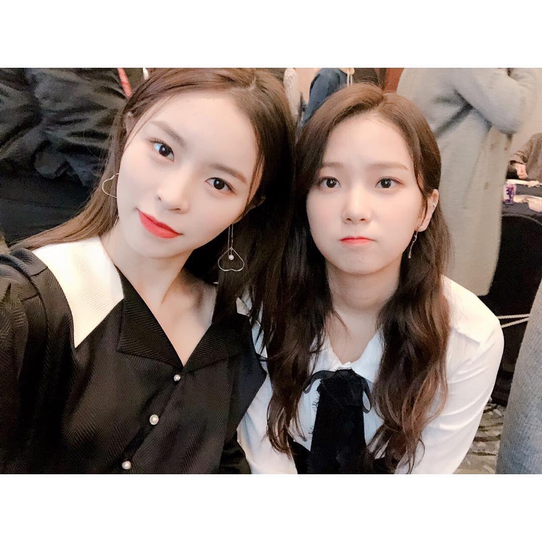 clcpicss's tweet photo. Bunnies line https://t.co/Ts0qf6ERKr