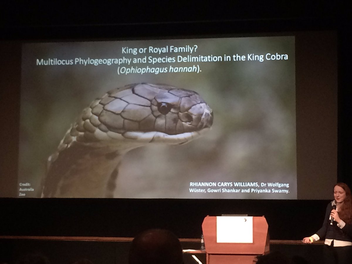H_ParryWilson's tweet photo. Awesome latin name for the King Cobra 😉 ...great talk on current phylogeography research by @Rhiannon_C_W at #2018YSF @NHM_London https://t.co/TuX4Tt5Ce8