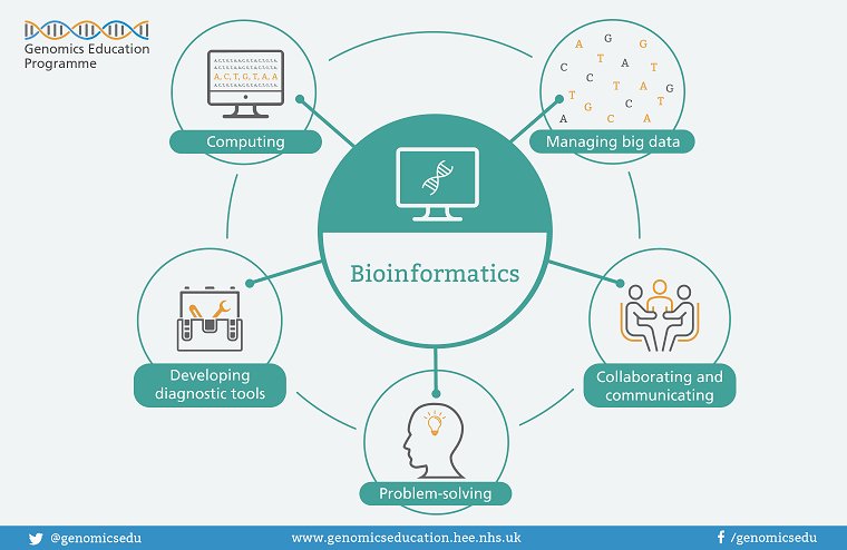 genomicsedu's tweet image. Bioinformaticians are integral to patient care. Do you know what role they play? Watch our short film to find out: socsi.in/i6Y4n #genomics #bioinformatics #bigdata #nhs