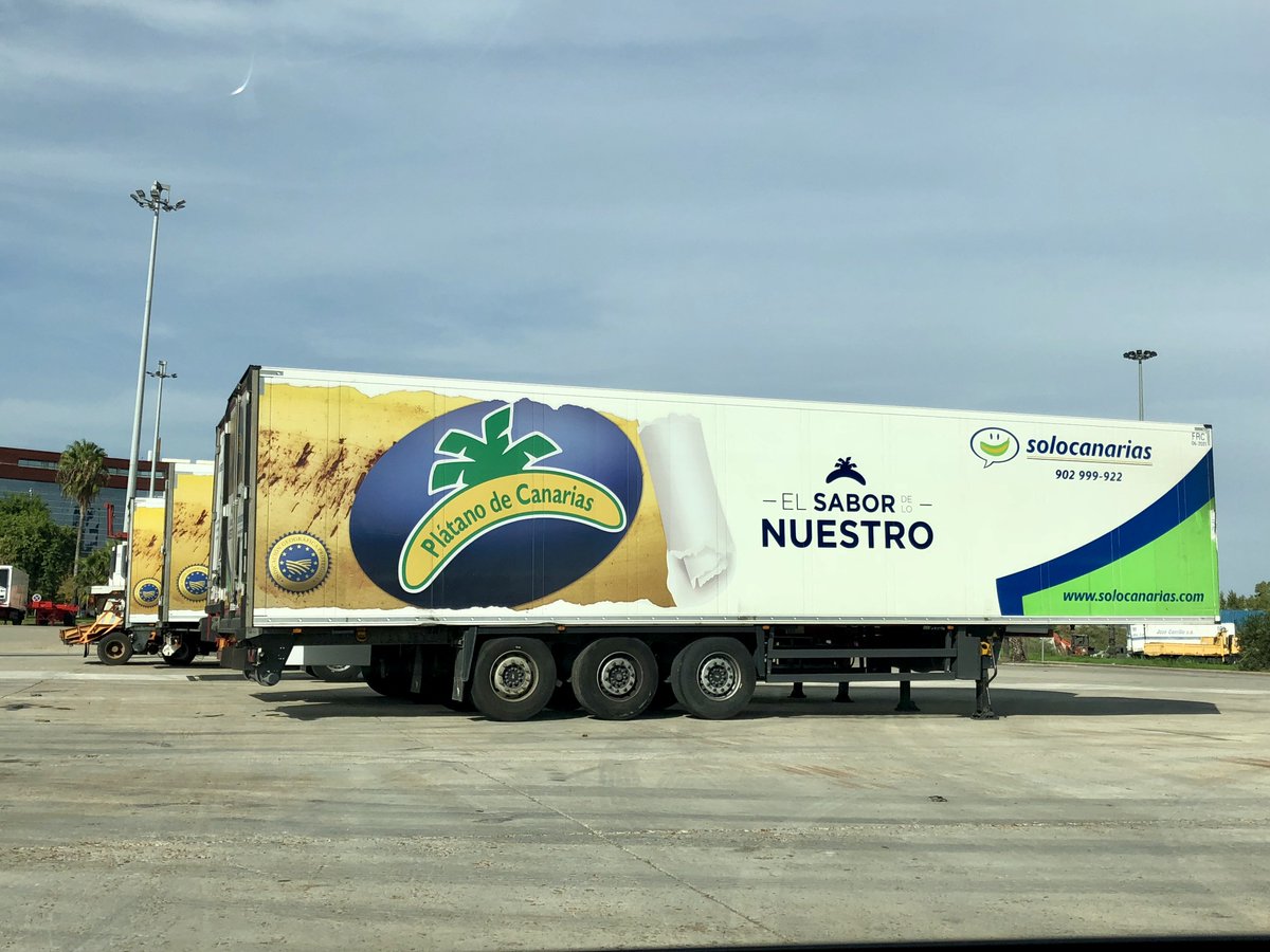 Solocanarias tweet media