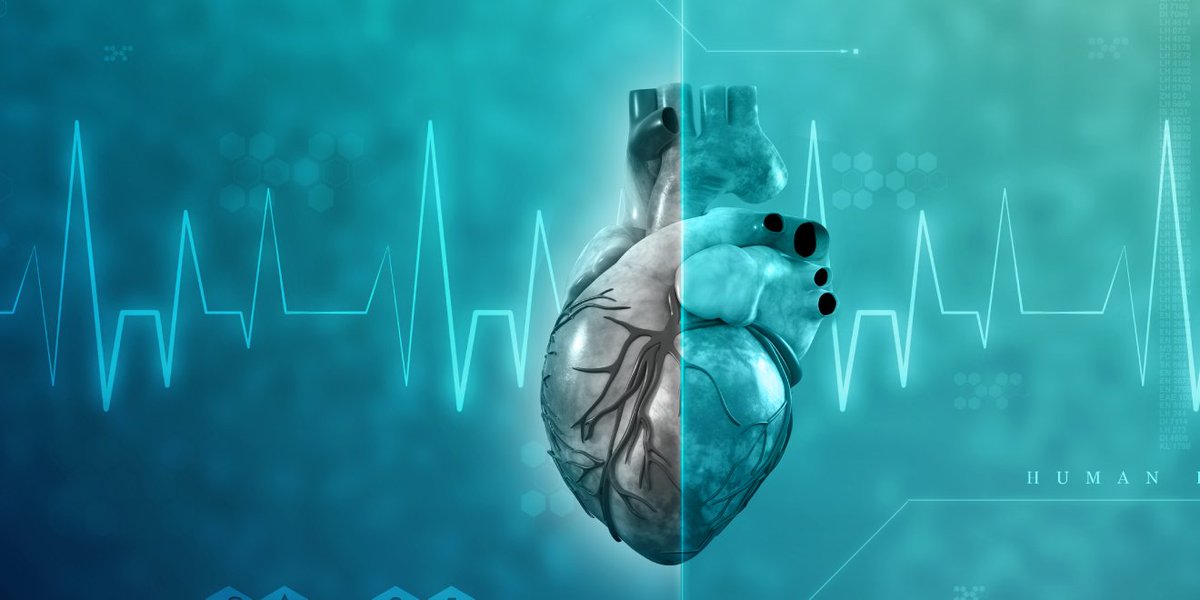 CSEMInfo's tweet photo. CSEM in Dataland – Find out how digitalization can improve #Bloodpressure prevention and monitoring. Auf Deutsch https://t.co/puvdNxVXyN – En français https://t.co/KdifsOeAkl – in italiano https://t.co/96OjJL8GuH #obpm https://t.co/QmoSwU0IHY