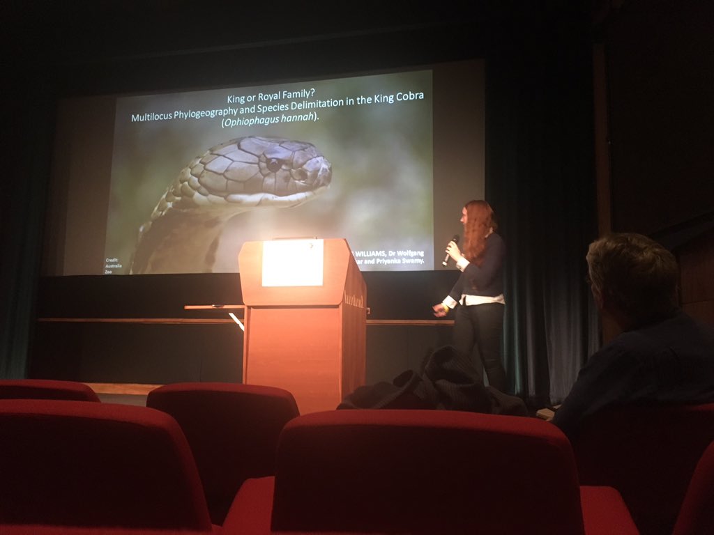 Hairy_Llama's tweet photo. Lovely talk by @Rhiannon_C_W on the phylogeography of the King Cobra #2018YSF @SystAssn #YSF2018 @NHM_London https://t.co/ymODxQIhXx