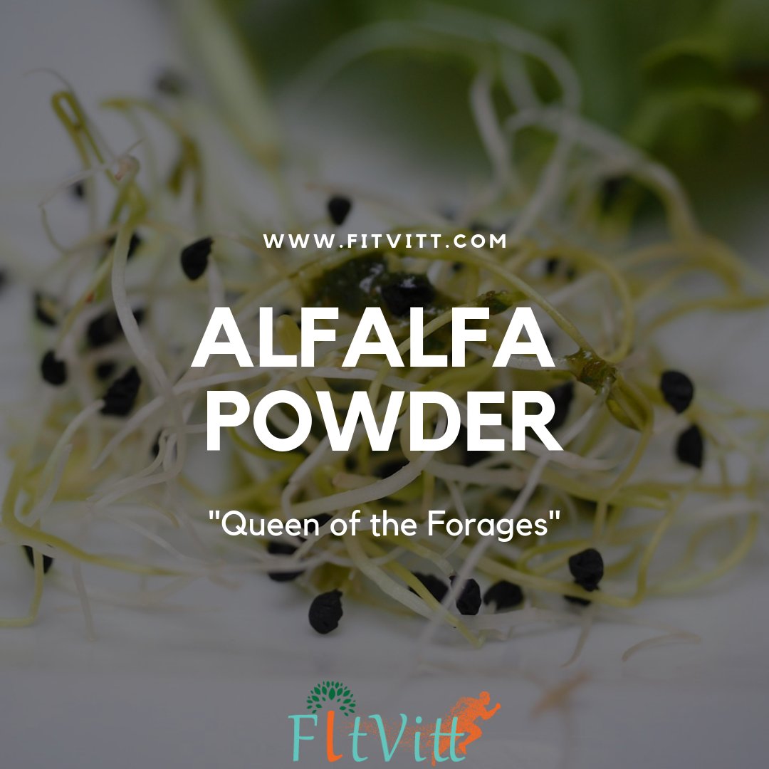fitvitt_food's tweet image. Alfalfa also known as “Father of foods”. It has earned its name. To know more about Alfalfa visit bit.ly/2RBAFfO

#Fitvitt  #Afalfa  #AlfalfaPowder  #AlfalfaBenefits  #AlfalfaSprouts    #SuperfoodSmoothie  #Superfood #SuperfoodIdeas  #superfoods  #superfoodlife