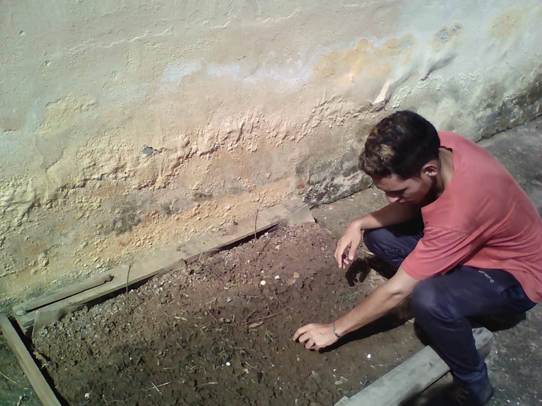 FFMPazCastillo's tweet photo. un poquito de todo, sembrando cosechando trabajamos en union para un solo objetivo nuestro pueblo @NicolasMaduro https://t.co/QmIXd70JEi