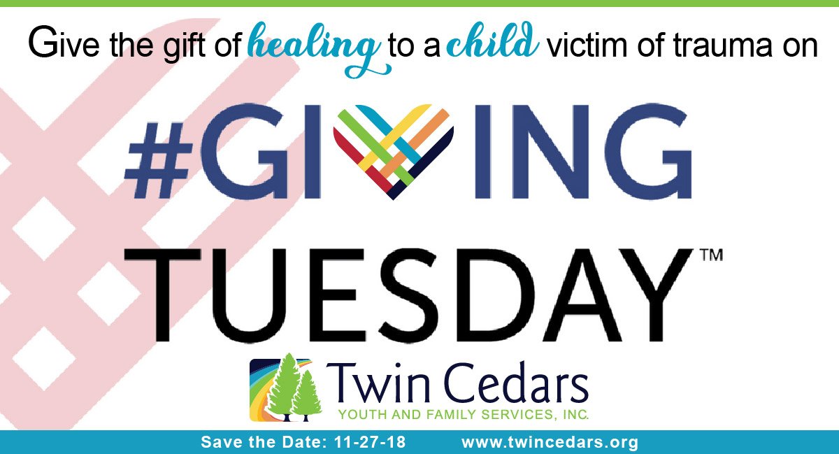 twincedars2's tweet photo. Giving Tuesday is almost here! Please use your Black Friday savings to make a real impact for Twin Cedars by donating at https://t.co/CWXvlKeXEW https://t.co/IlVuCTF9Yb