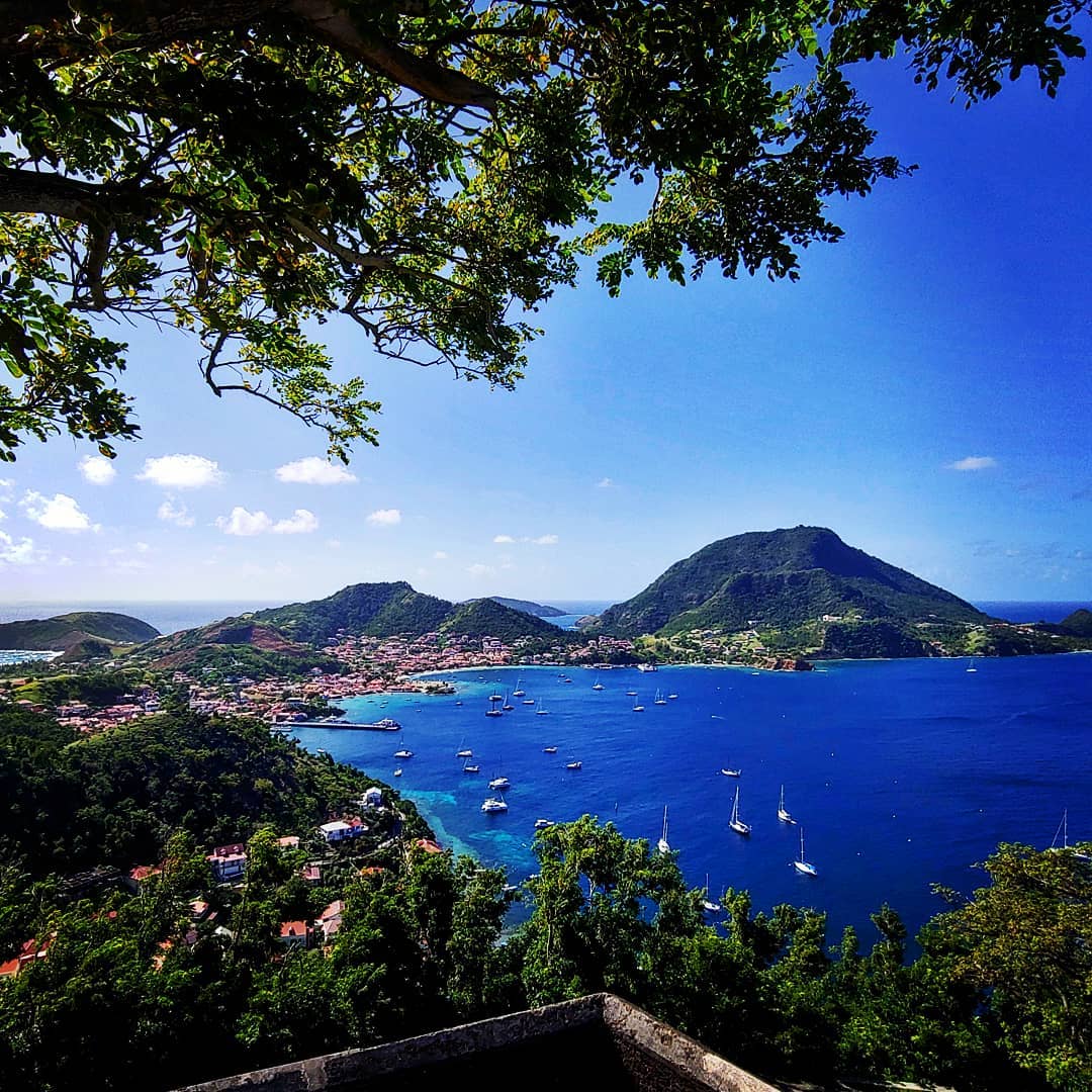 Îles de Guadeloupe tweet media