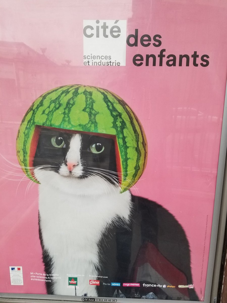 kreschen tweet media