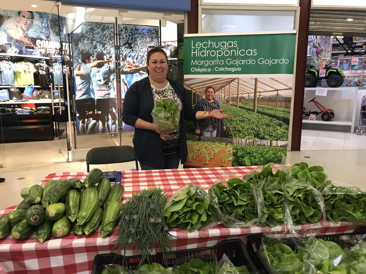 #OHiggins ya comenzó el mercadito de hortalizas de O’Higgins HortiCrece en <a href="/MallPatioRcga/">Mall Patio Rancagua</a> , el DR de Corfo <a href="/EmilianoOrueta/">#OruetaSirve</a> comparte con los productores.<a href="/CorfoOHiggins/">Corfo O'Higgins</a> <a href="/cpvdesarrolla/">Copeval Desarrolla</a>