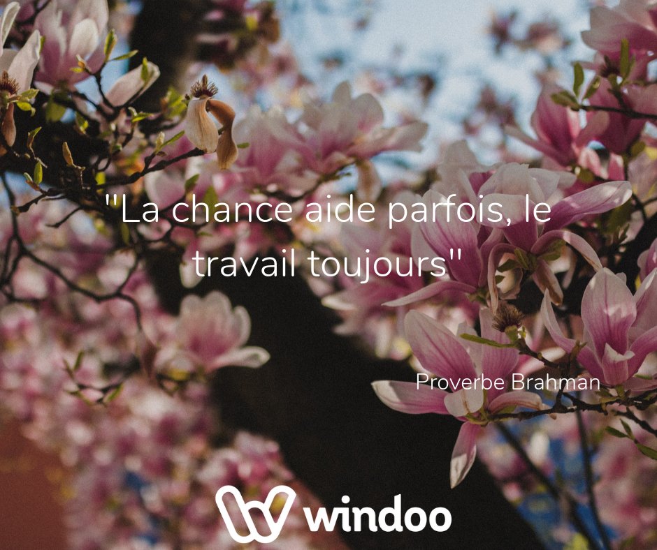 Windoo Team Windoo Twitter