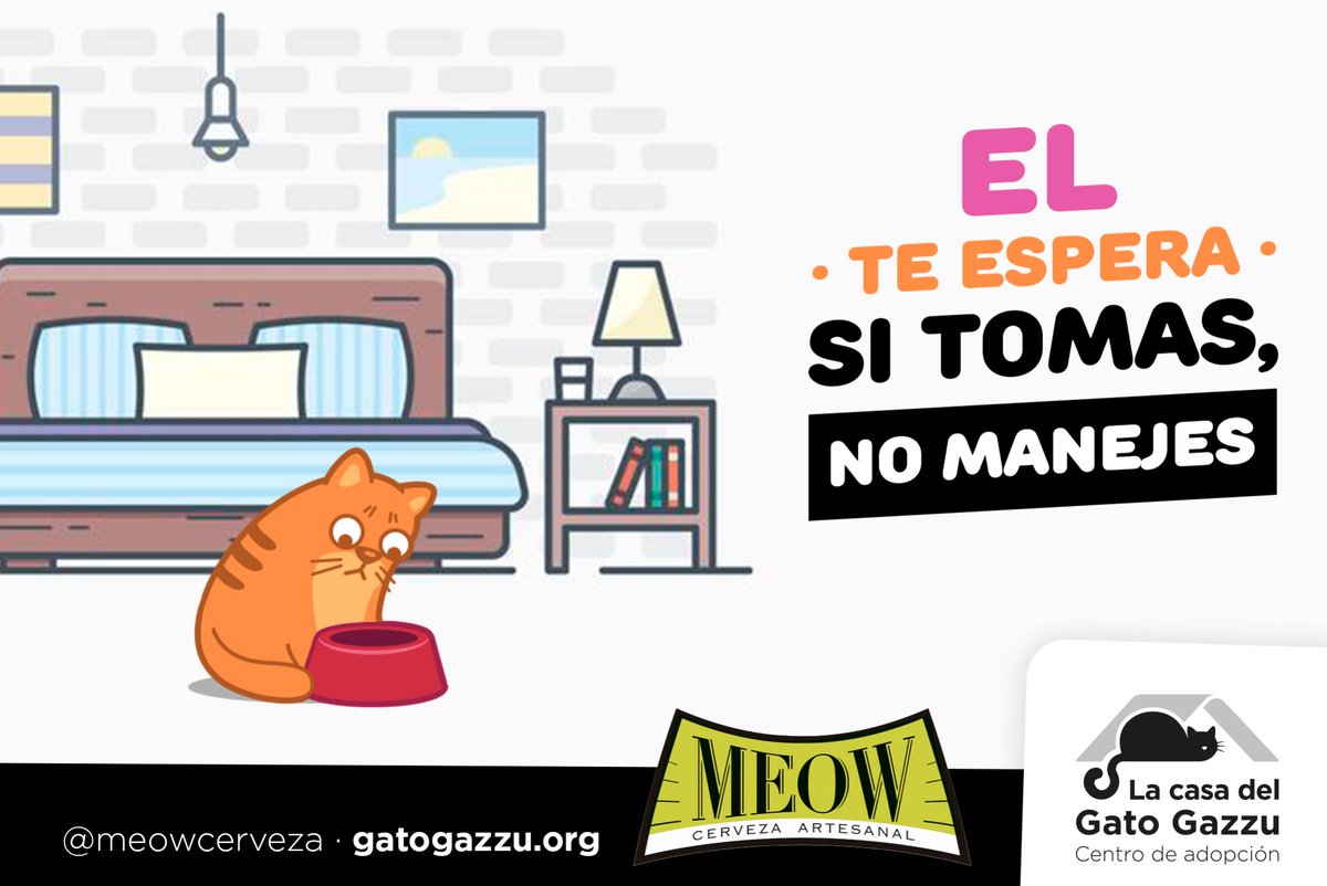 CervezaMeow's tweet photo. 🐱 te espera,si tomas no manejes.

#cerveza #cat #sitomasnomanejes #party https://t.co/s9fgYC7Lk8