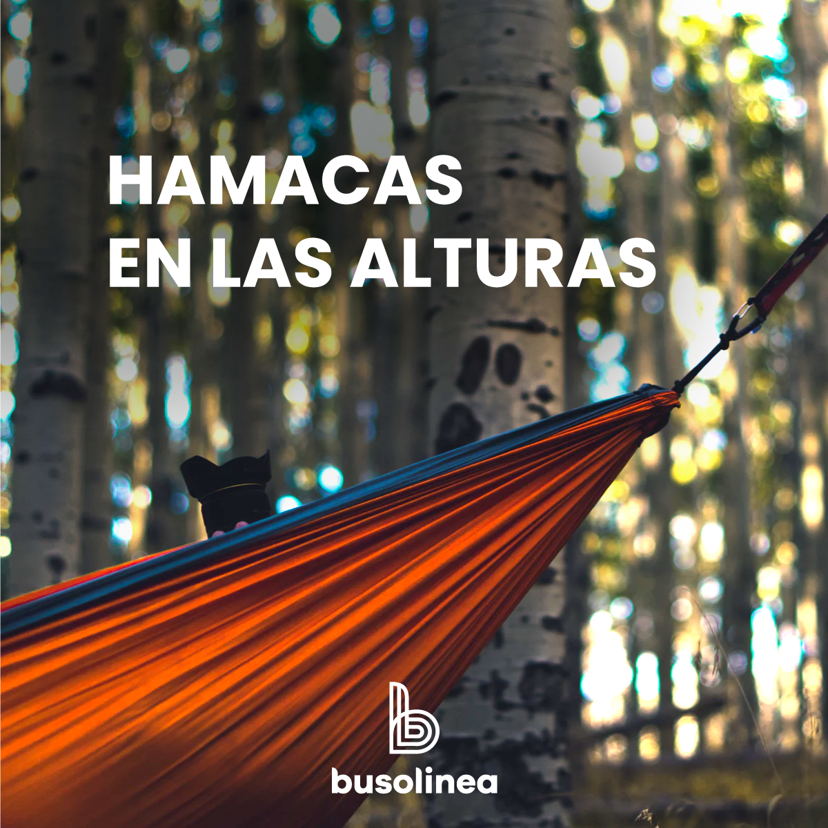 Busolinea's tweet photo. #FelizViernes ¿Qué tal un viajecito a #Guanajuato? El centro vacacional "El Salto" cuenta con varias hamacas para que duermas en las alturas. Viaja ahora a este estado por autobús en #Busolinea https://t.co/b1iA7oZg7z