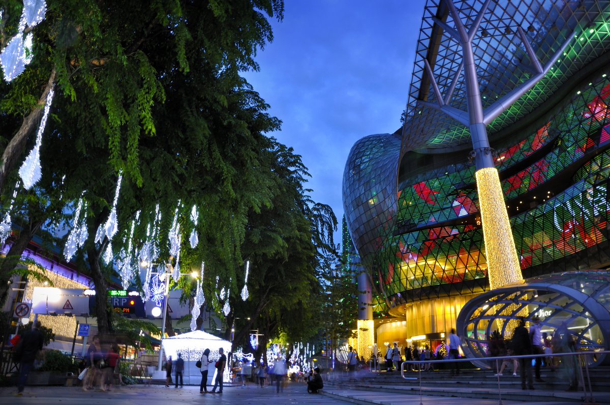 À #Singapour, la magie de Noël ❄️ s’est déjà emparée de Orchard Road et de ses malls🌃 : sur 2 km, guirlandes accrochées aux arches ou dans les arbres et sapins géants🎄 illuminent cette artère commerciale ! ©tristan tan/Shutterstock #orchardroad #Christmas