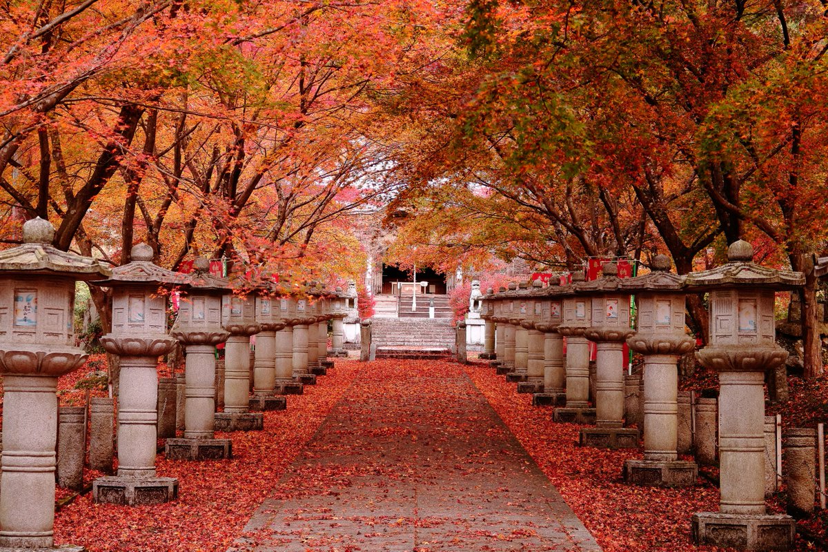 Nori Paseo 丹波市 高山寺へ紅葉狩り 定番位置からは拝殿に向かって右側がイマイチ赤く染まってなかったので あえて反対側からと その他 18 11 23撮影 Location 兵庫 高山寺 兵庫 高山寺 紅葉 ファインダー越しの私の世界 東京カメラ部 誰かに見せ