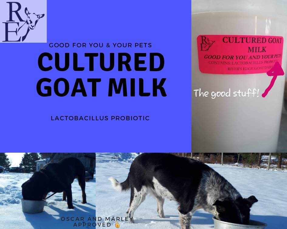 New product alert! FREE samples at the Kitchener and @GuelphMarket . 
We are in the development stage so we will appreciate all feedback. 
SHARE with friends and family that have pets! 
Thanks,