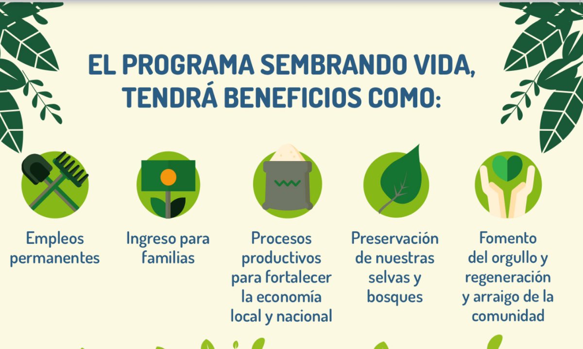 Hugo Chávez Ayala tweet media