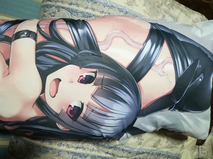 おはようございます。ぼっしぃ先生の抱きまくらカバーは最高です。 