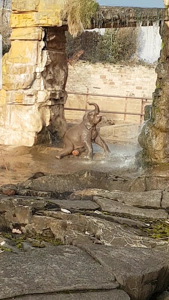 A little cutie having a shower💕💕