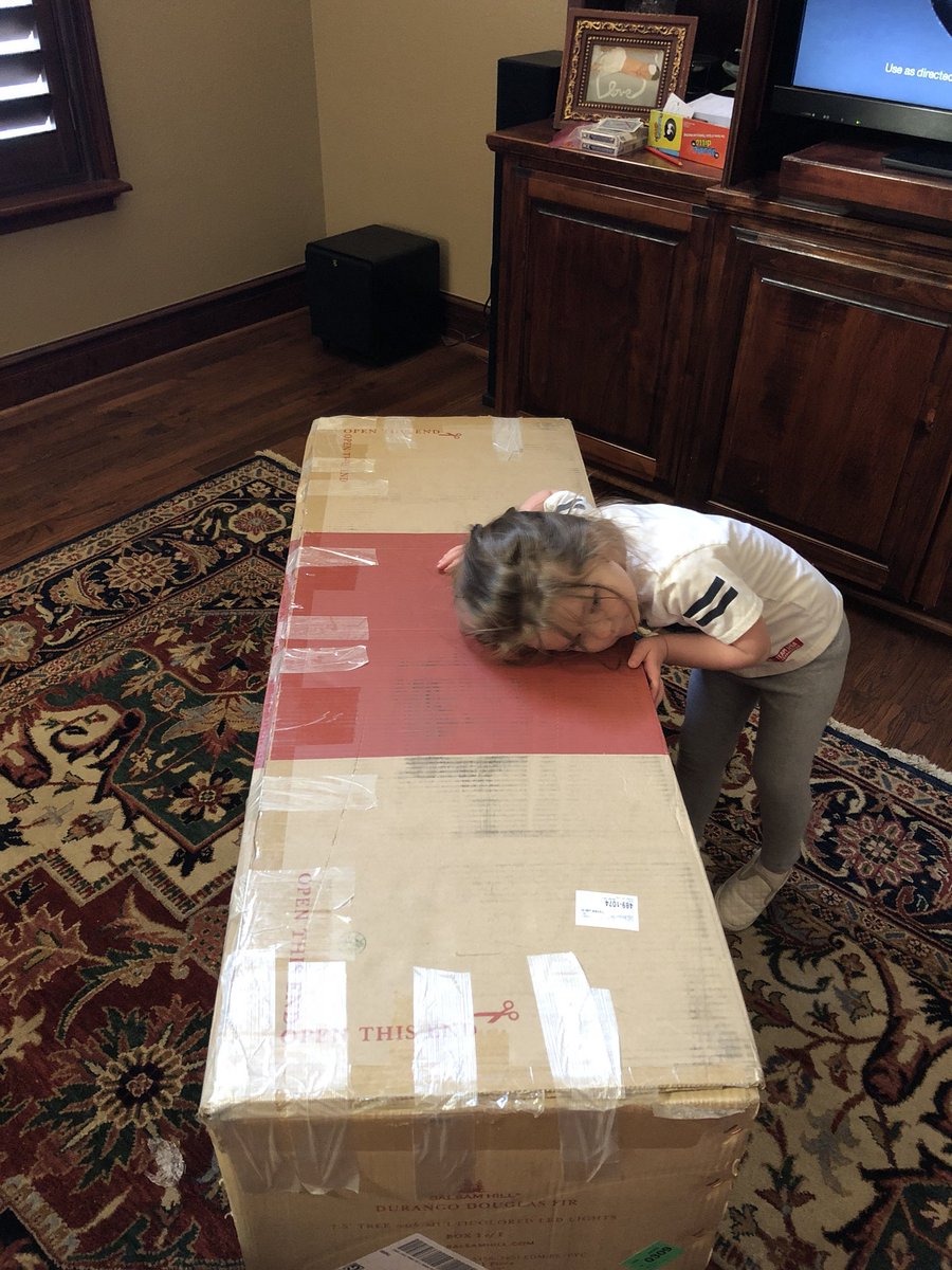 Jennyeyer's tweet photo. WORST customer service ever, @balsamhill. Ready to put up our new tree, found out they sent us the wrong one...when we called, they asked, don’t you like it? They made us coordinate the exchange on the wrong tree they sent us. If @balsamhill makes a mistake, they won’t fix it https://t.co/iVav7AB8OZ