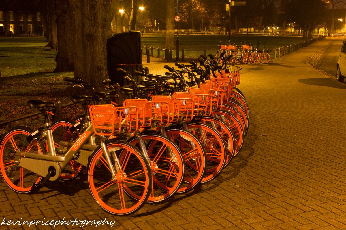 KevinPrice57's tweet photo. Is no one using these bikes or are they better organised than ofo? https://t.co/QGjGQLLn1q