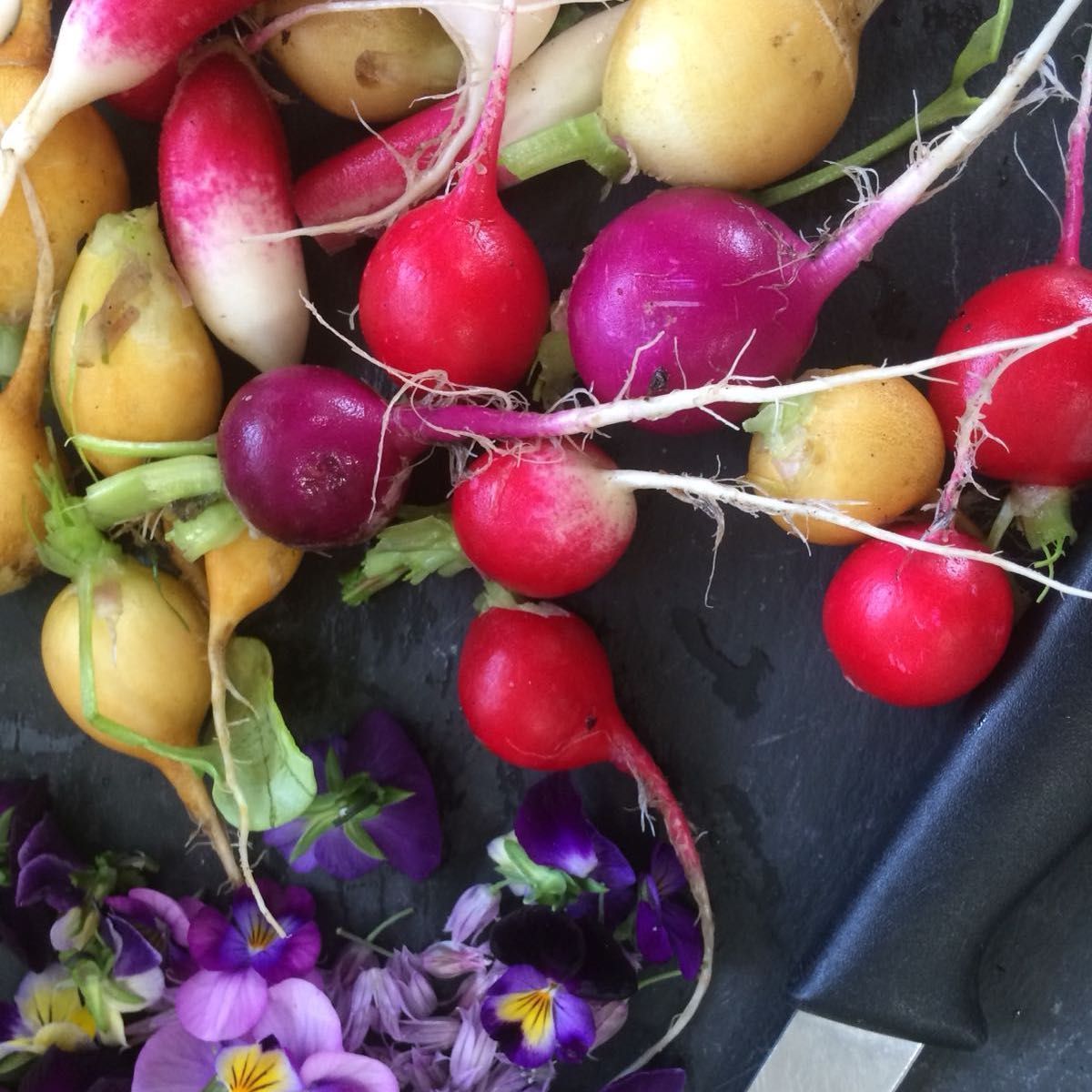 whatsonmull's tweet photo. Don't miss our lovely #local fresh Producers Market! This Sunday 25th Dervaig #eatlocal #knowwhereyourfoodcomesfrom https://t.co/ytcNxtGclK
