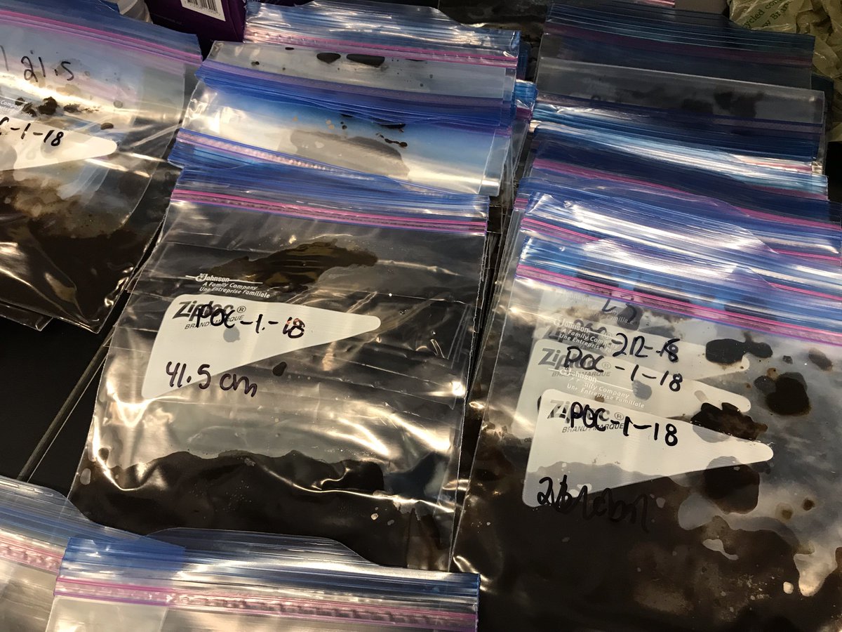 waterheddy's tweet photo. Thank you to @drtightline for the use of his lab @MountAllison and the freeze dryer to dry sediment from Pockwock Lake. https://t.co/RMjg1AjcOX