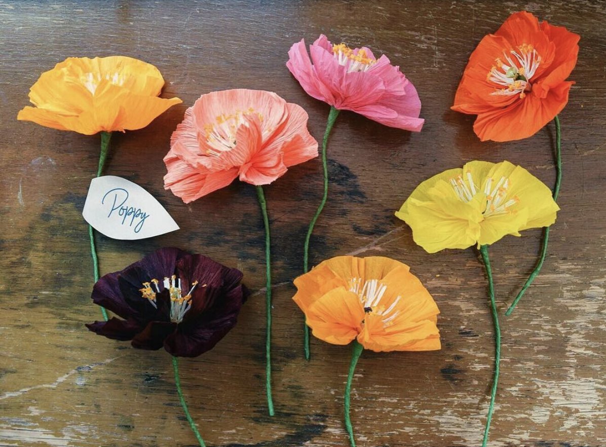 LWDBrum's tweet photo. Our first Woman of the Week is Shropshire designer @lisajaystudio Lisa's beautifully crafted, hand-cut paper artwork, flowers &amp; floral installations are unbelievably intricate &amp; incredibly unique – head over to her site to see her work! https://t.co/VHvuqQz1sS https://t.co/tTUyypl0xk