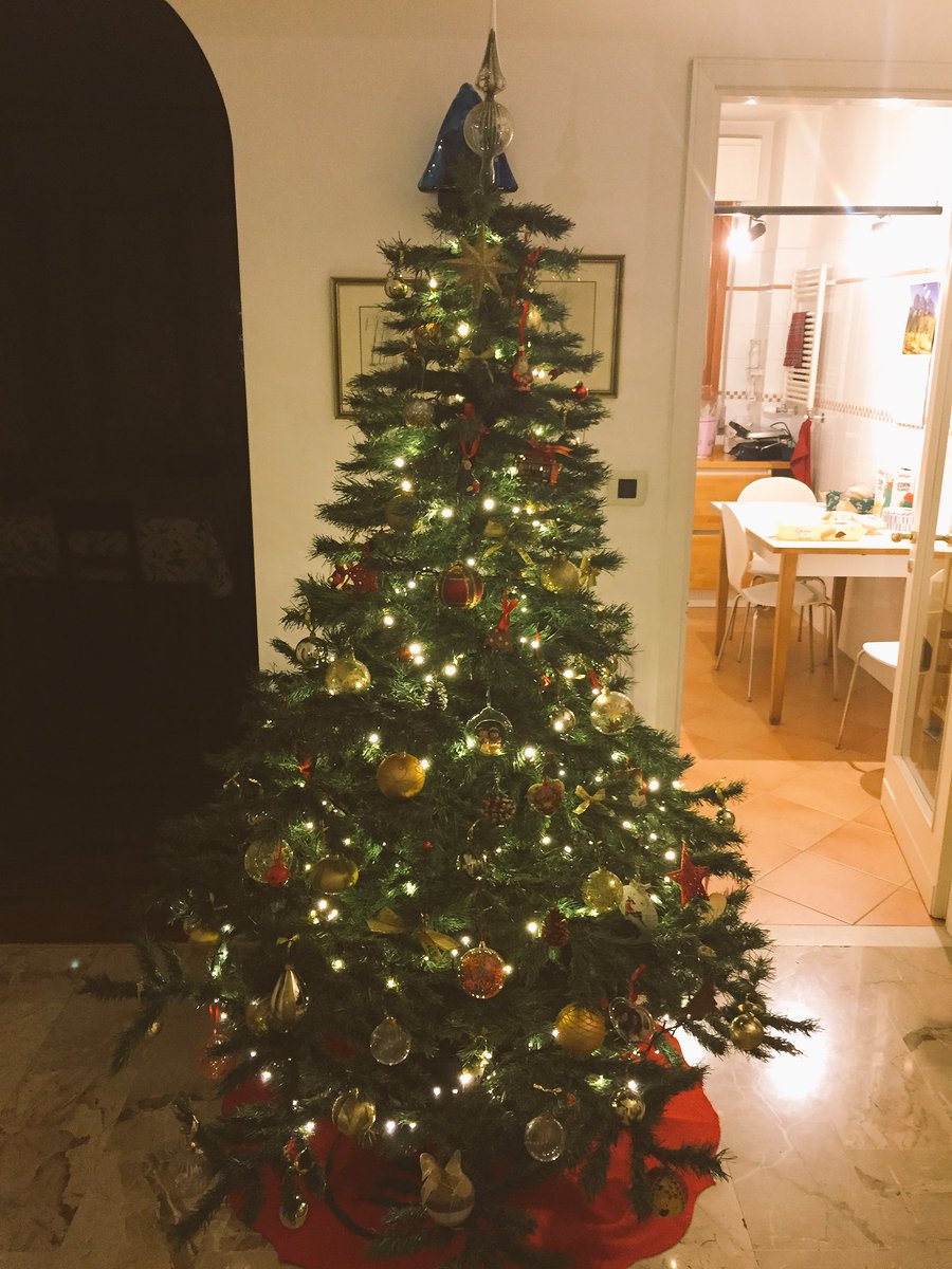 Marco_Bonini_99's tweet photo. Quando si dice prendersi per tempo a fare l’albero di natale😅 #Natale #nonèmaitroppopresto https://t.co/t8ic71Bctt