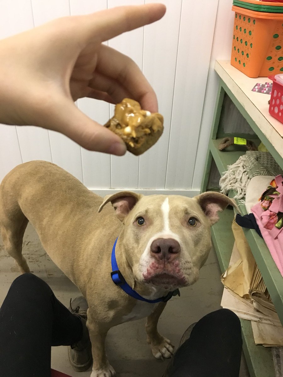 Ren 🦇 tweet media