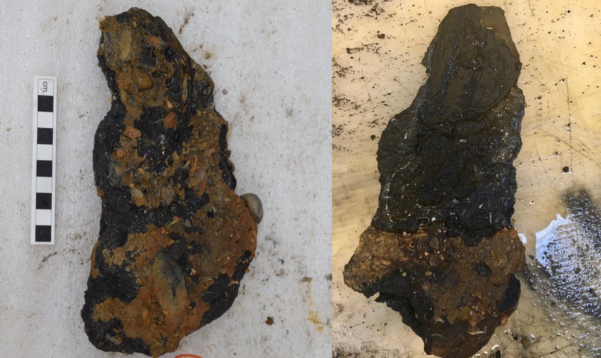 rooswijk1740's tweet photo. Conservators at @MSDSMarine &amp; @HE_Archaeology have started to remove artefacts from their marine concretions. In this case, 4 coins &amp; a heavily corroded blade have been removed from this concretion using its X-ray as a guide. The blade's decoration is still visible! #FindsFriday https://t.co/icZ2MX5miD
