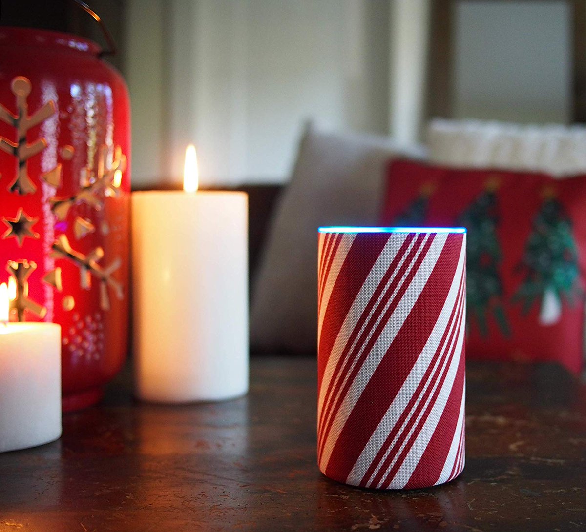 amazon echo decorative shell