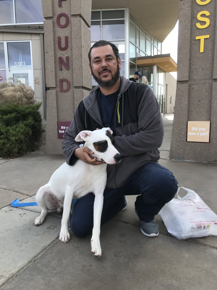 kshumanesociety's tweet photo. So many animals are finding loving homes today! Come on down, we still have lots of animals to adopt! Thanks you @ridehomehappy and the @ASPCA for making today possible! #sharethelove #aspcaSTL https://t.co/3LetQiC3f6
