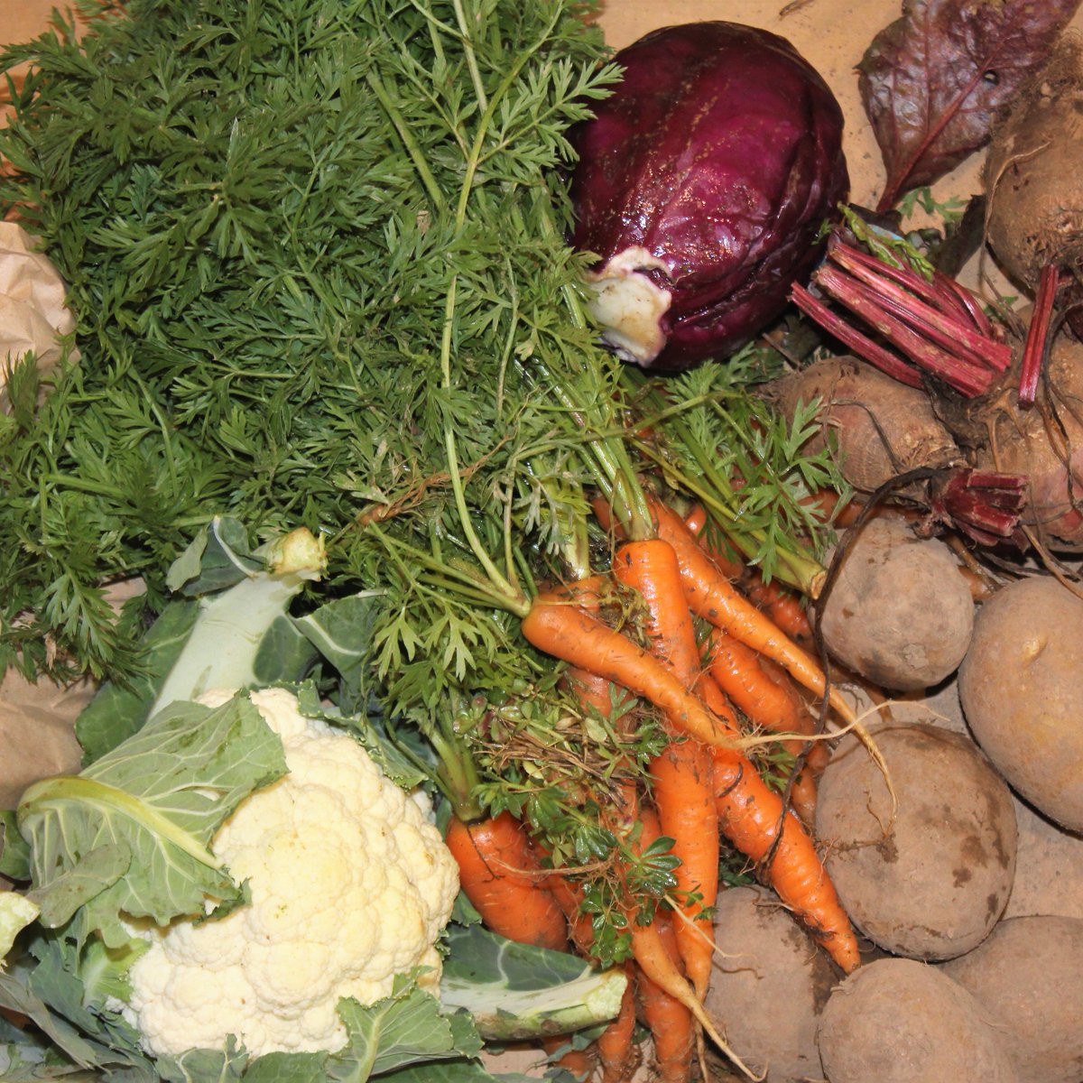 Every Friday is a colourful Friday... Orange, Purple, White, Green...

Less Plastic
Less Miles
Less Hassle
More Fresh
More Choice
More Surprises

Checkout the veg box delivery from <a href="/PadstowkGarden/">Ross Geach</a> 

#ShopLocal #FridayFeeling