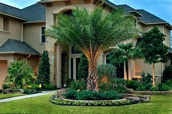 _TracyPetersen's tweet photo. Beautiful front yards landscaping. What do you think about this?
#landscape #frontyard #exteriordesign #exterior #home #realestateagent https://t.co/hJ96JK50R1