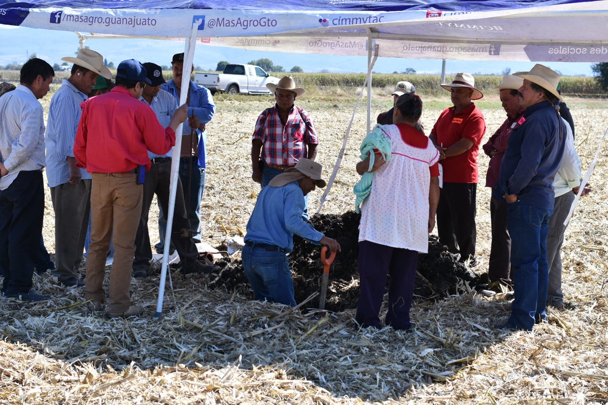 AmadorAguillon's tweet photo. #RetoRastrojoGTO Estamos en Salvatierra en otro evento de reto rastrojo. Muchas gracias a productores, regidores #Salvatierra, #DesarroloRural y #ModuloDeRiego por estar con nosotros. @MasAgroGto @ACCIMMYT @SDAyR_Gto https://t.co/fKTUDrfHP6