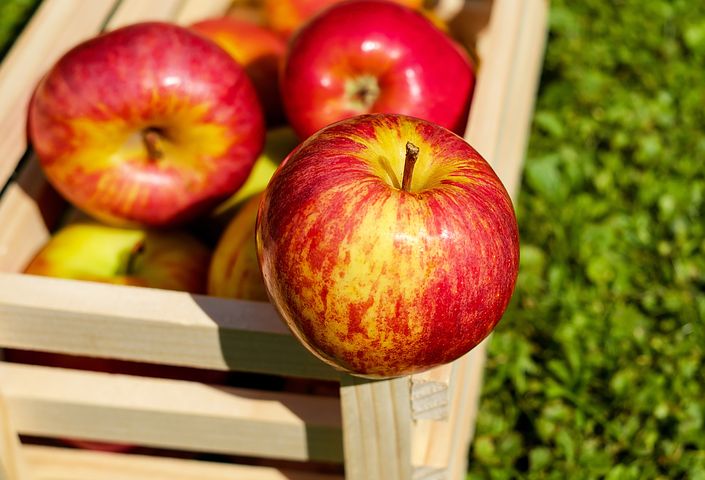 acmitche's tweet photo. With their hunger quenching fiber and #cancer-fighting antioxidants, apples really are one of nature's best super foods. https://t.co/REDKdiN9Sl